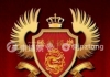 维——10005024腾龙直属公司办理开户以及登录网址
