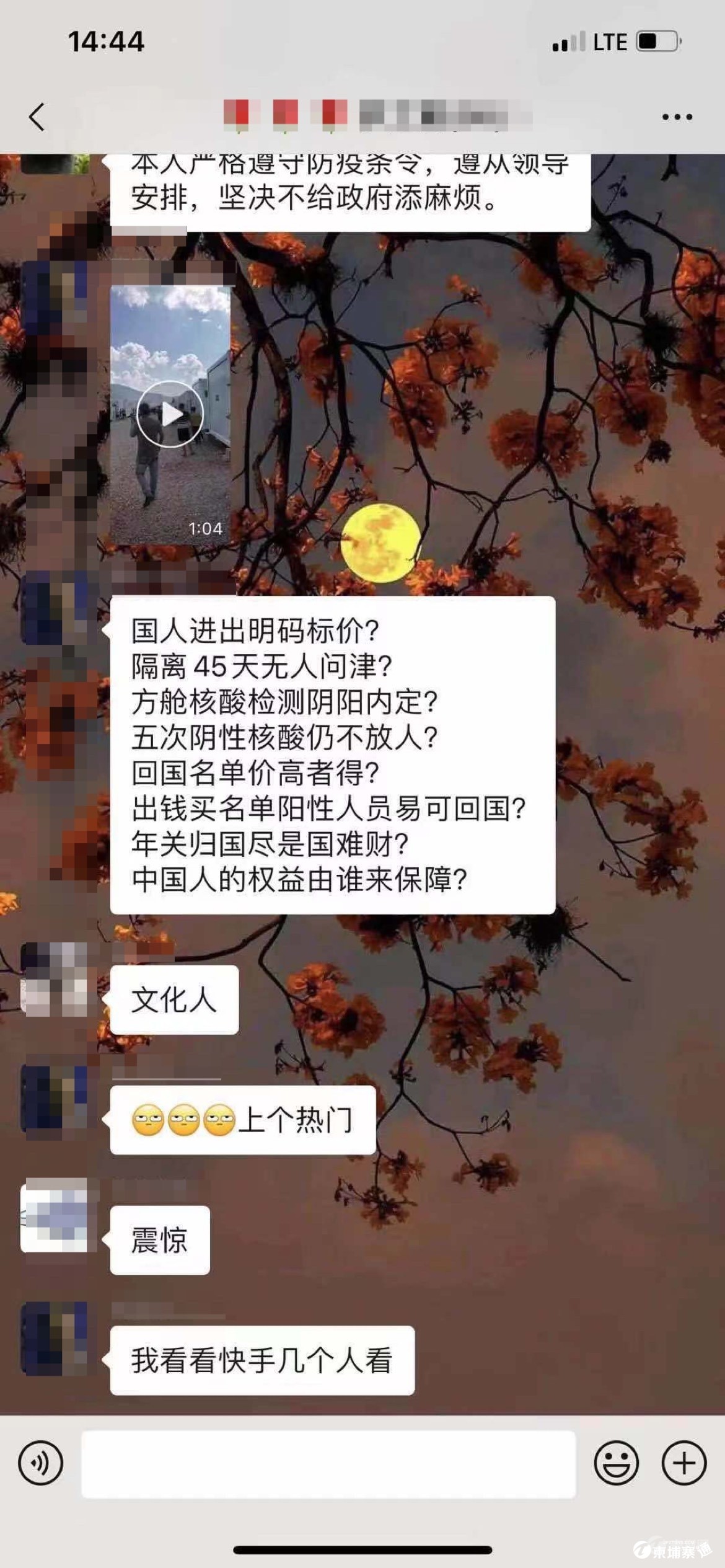 1641452876581147625.jpg